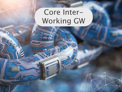 Core Interworking Gateway