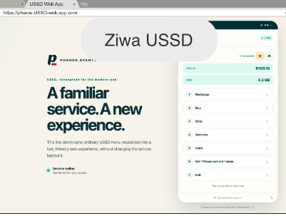 Ziwa USSD